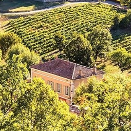 herbs of provence 