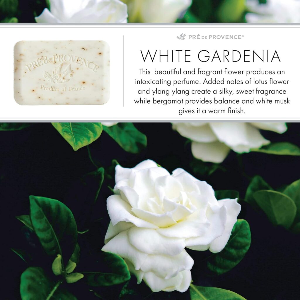  white gardenia soap, white gardenia pre de provence soap, 
